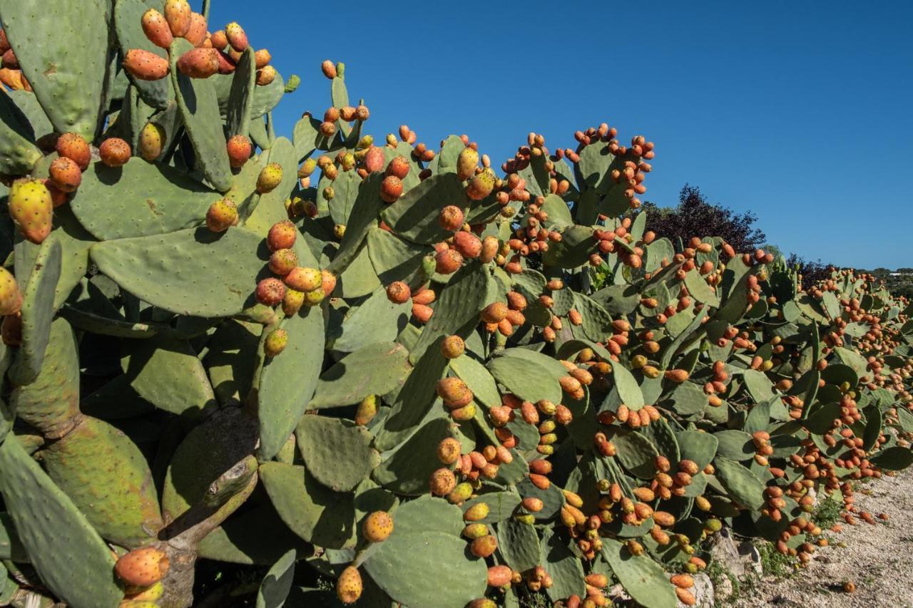 Country House Da Gia Ostuni Bagian luar foto